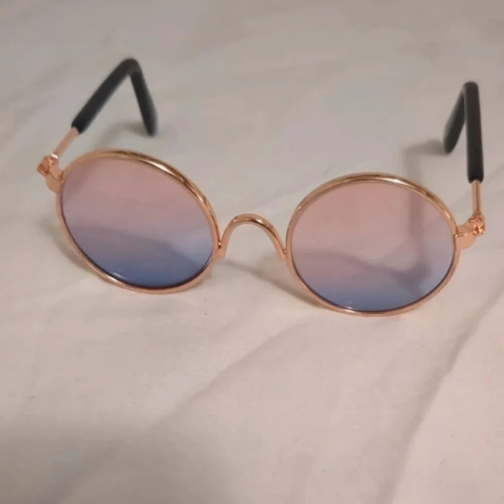 cat sunglasses